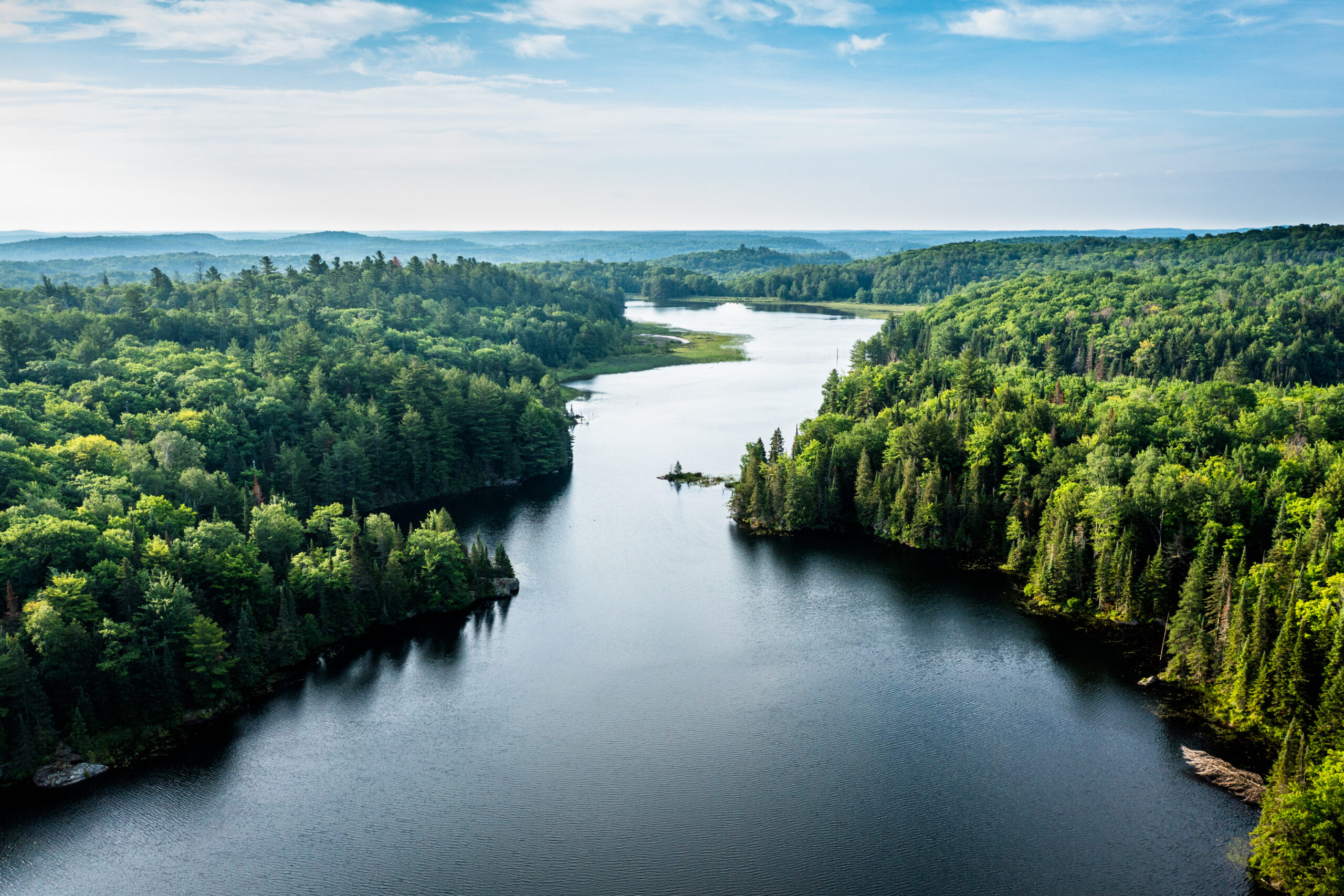 Une rivière traverse une forêt.