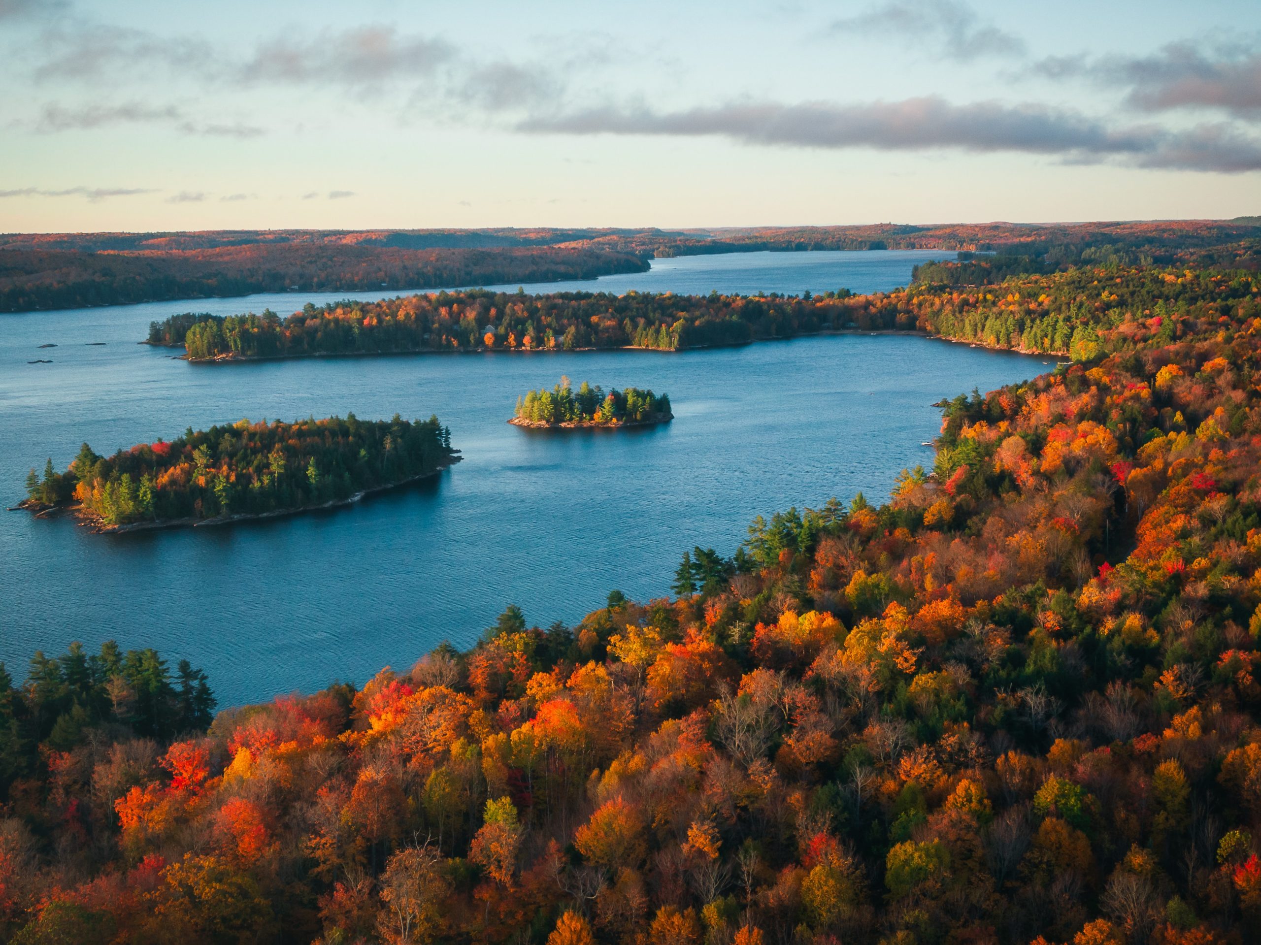 fall colours around a body of water at twilight