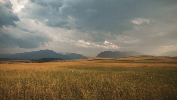 field with grass and clouds with mountains in background