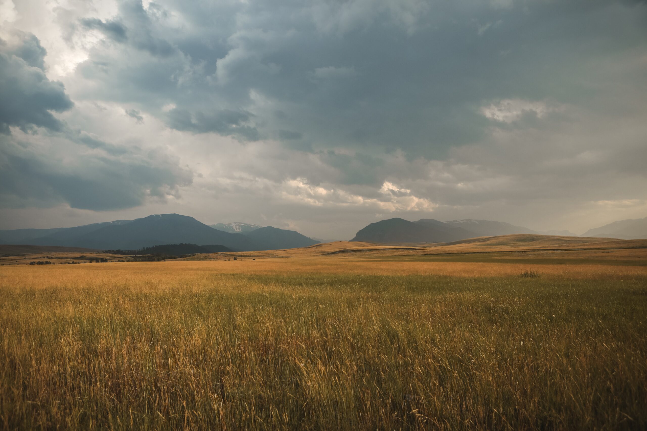 field with grass and clouds with mountains in background